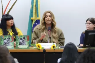 Erika Hilton é eleita presidente da Comissão dos Direitos da Mulher em votação polêmica