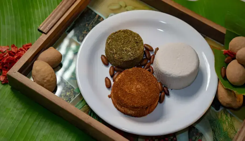 Queijo vegetal de baru impulsiona negócio no Cerrado com apoio do Sebraetec