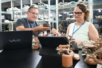 Abertura de empresas: Goiás registra melhor março da série histórica