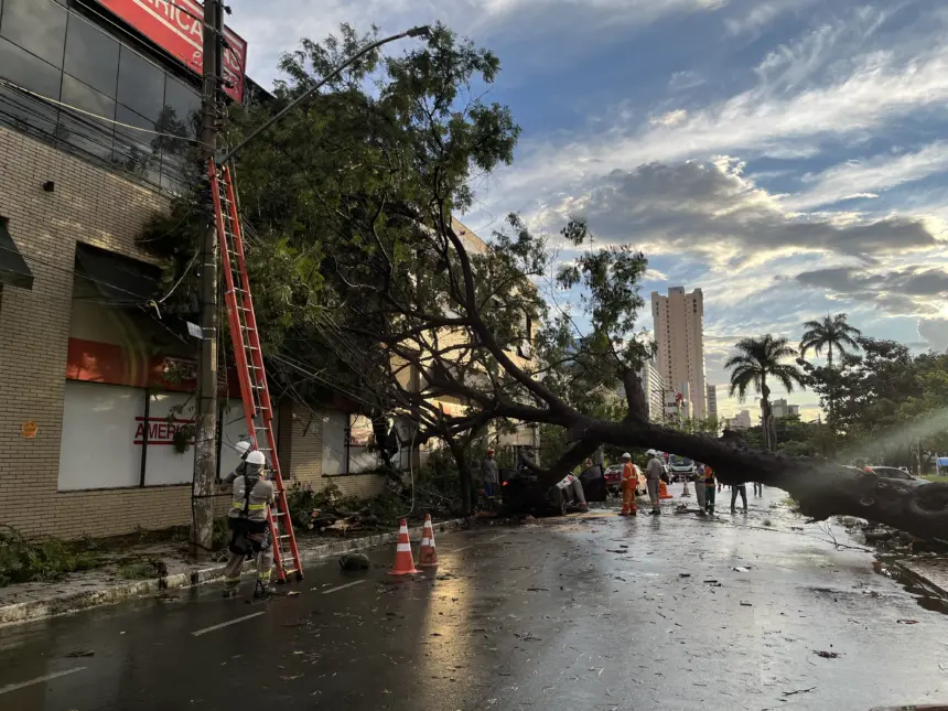 Goiás deve enfrentar sequência de temporais com raios e ventos fortes Goiás deve enfrentar sequência de temporais com raios e ventos fortes