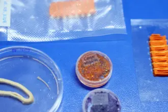 Embrapa produz em laboratório salmão, caviar e anéis de lula veganos