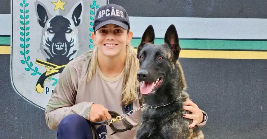 2ª Cãominhada do BPCães já tem mais de 2,5 mil inscritos 2ª Cãominhada do BPCães já tem mais de 2,5 mil inscritos