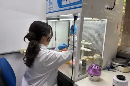 Lançado edital da Fapeg que leva pós-graduandos de Goiás a missões de pesquisa no exterior