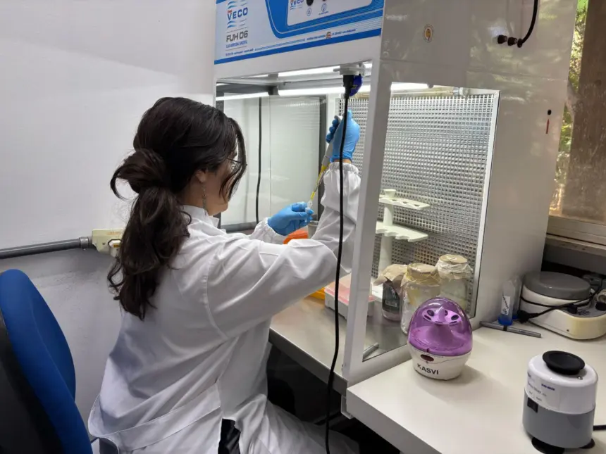 Lançado edital da Fapeg que leva pós-graduandos de Goiás a missões de pesquisa no exterior Lançado edital da Fapeg que leva pós-graduandos de Goiás a missões de pesquisa no exterior