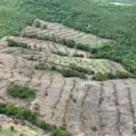 Desmatamento em Goiás cai 44%, aponta Mapbiomas