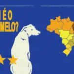 Entre fazendas e cidades, caramelo da região Centro-Oeste carrega forte herança de cães de pastoreio, revela estudo de PEDIGREE®