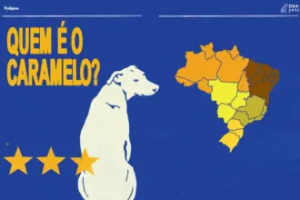 Entre fazendas e cidades, caramelo da região Centro-Oeste carrega forte herança de cães de pastoreio, revela estudo de PEDIGREE®