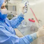 Estudo usa células-tronco contra complicações do transplante de medula