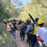 Brigadistas comunitários vão atuar nos incêndios florestais em Goiás