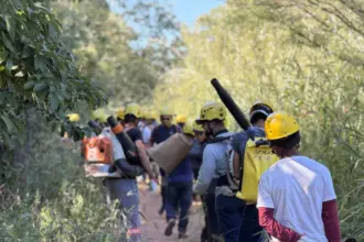 Brigadistas comunitários vão atuar nos incêndios florestais em Goiás