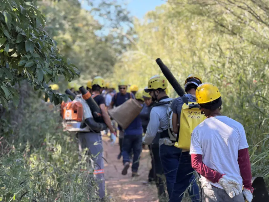 Brigadistas comunitários vão atuar nos incêndios florestais em Goiás Brigadistas comunitários vão atuar nos incêndios florestais em Goiás