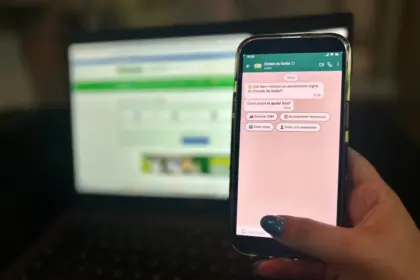 Goianos poderão acessar serviços públicos pelo WhatsApp