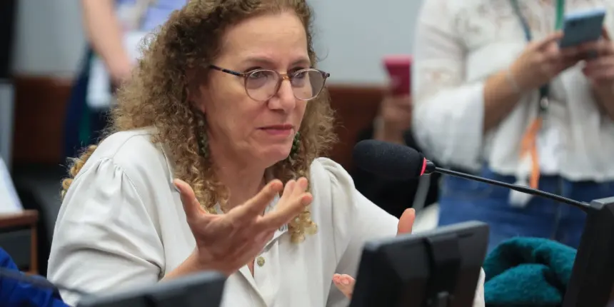 Parlamentares governistas vão aos EUA apresentar contraponto à direita Parlamentares governistas vão aos EUA apresentar contraponto à direita