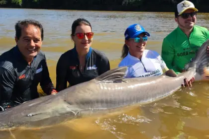 Pesca em Goiás tem novas regras; Confira o que muda