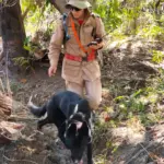 Bombeiros reforçam buscas por homem desaparecido na zona rural de Santa Rita do Novo Destino