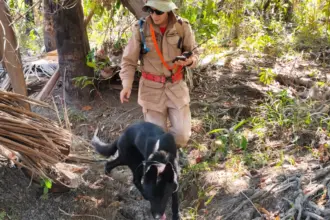 Bombeiros reforçam buscas por homem desaparecido na zona rural de Santa Rita do Novo Destino