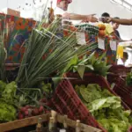 Decreto adia exigência de CNPJ para autônomos e produtores rurais