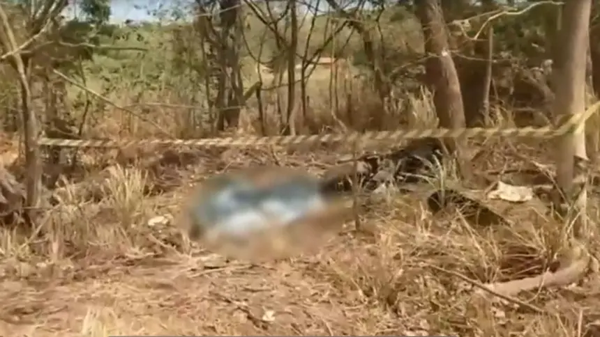 Casal morre após motocicleta sair da pista e bater contra árvore na BR-060