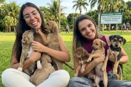 Grupo de proteção animal em Goiânia enfrenta crise financeira e risco de encerramento