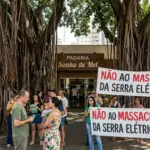 Ministério Público suspende corte de gameleiras históricas na Praça da Cirrose em Goiânia